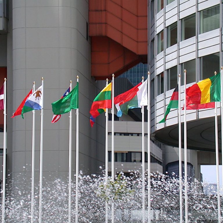 PENNONI CON CARRUCOLA Canepa e Campi